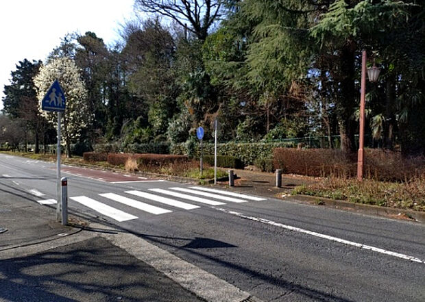 【物件からの展望_3】田園風景が味わえる土地に住みたい！海や山の見える自然豊かな土地に住みたい！などご要望に併せて当社営業がご提案させて頂きます。当社が抱えている数ある物件の中からお客様が納得する1件を一緒に探しましょう！