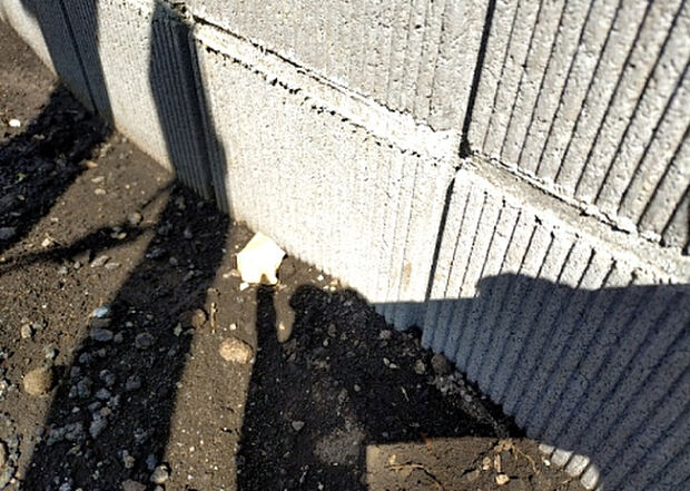 【構造・工法・仕様_2】ベタ基礎とは、柱の位置に関係なく全体に基礎がある事を指し、面積が大きい分建物の重さを全体に分散できます。また、地面からの湿気や害虫を遮断でき、木造住宅で心配されるシロアリ被害を防ぐ効果も期待できます。