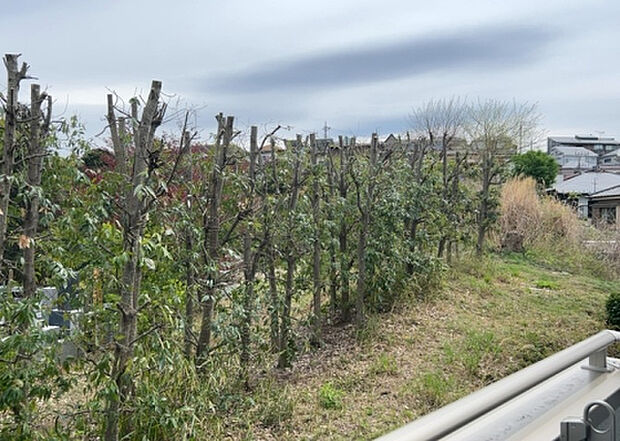【物件からの展望】眺望を気にして物件を探す場合、前面に建物が建っていないか現地で確認しましょう！前面に建物があると景色はもちろん、日当たりや風通しにも影響が出てきます。住んだ時のことを想像しながら現地見学をしましょう。