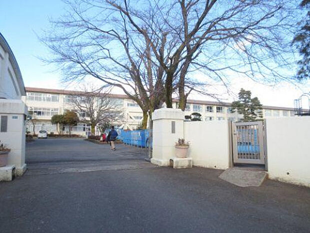 第九小学校（約493m）