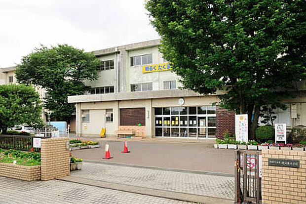 光が丘小学校(約509m)