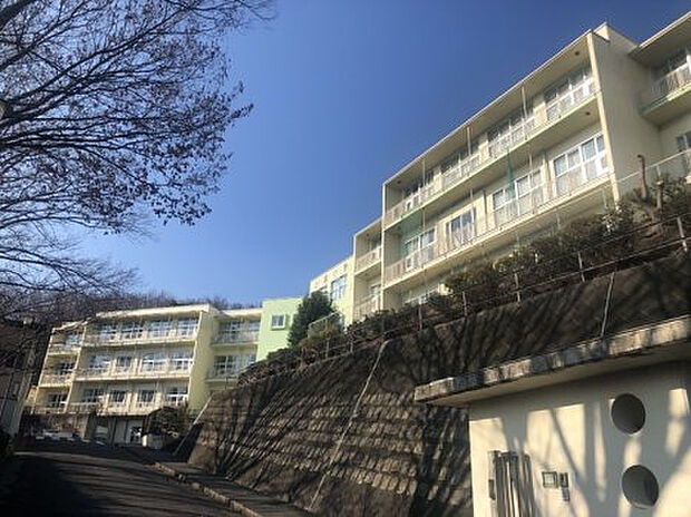 小宮小学校(約1,374m)