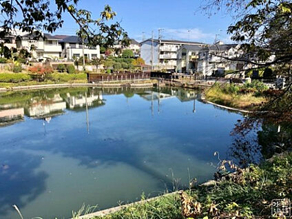 立野台公園 279m(徒歩4分)
