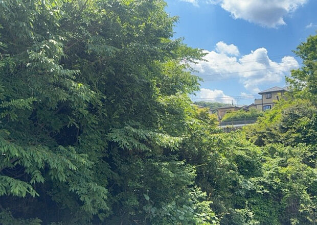 【物件からの展望】眺望を気にして物件を探す場合、前面に建物が建っていないか現地で確認しましょう!前面に建物があると景色はもちろん、日当たりや風通しにも影響が出てきます。住んだ時のことを想像しながら現地見学をしましょう。