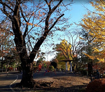 座間公園 319m(徒歩4分)
