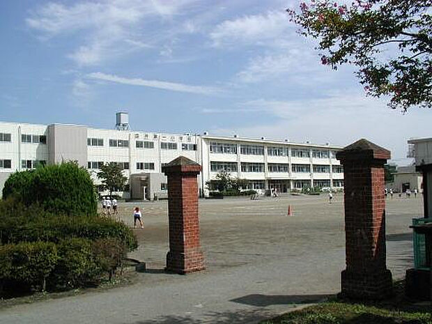 由井第一小学校(約707m)