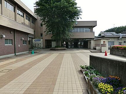 陽光台小学校 401m(徒歩6分)