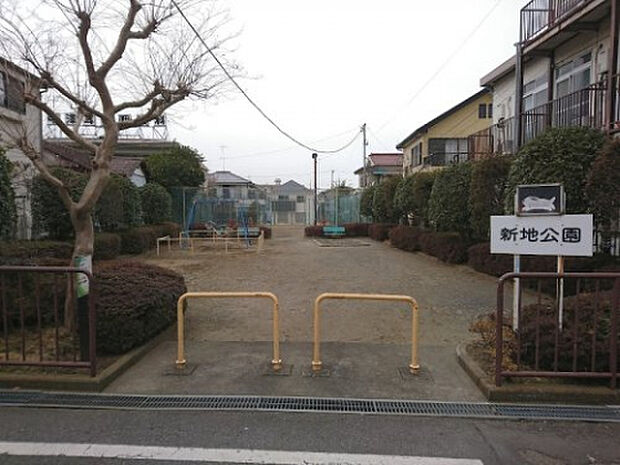 新地公園(約2m)