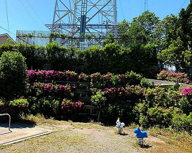 金井井戸窪梅の木公園（約701m）