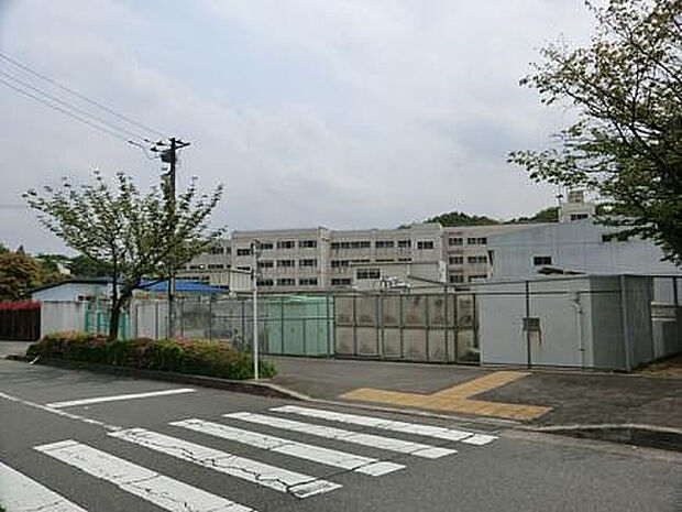 小山田中学校(約1,159m)
