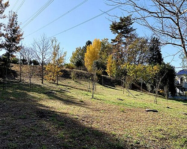 なずな原公園(約264m)