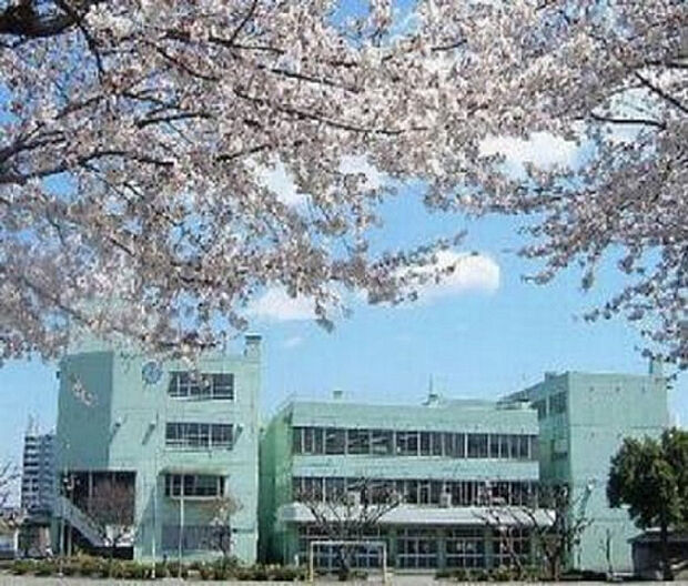 妻田小学校（約244m）