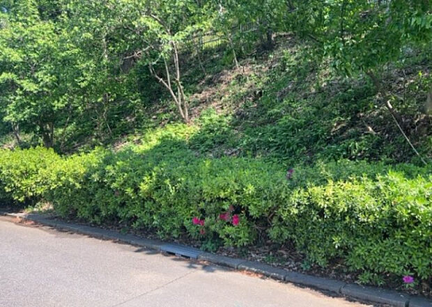 【物件からの展望_3】田園風景が味わえる土地に住みたい！海や山の見える自然豊かな土地に住みたい！などご要望に併せて当社営業がご提案させて頂きます。当社が抱えている数ある物件の中からお客様が納得する1件を一緒に探しましょう！