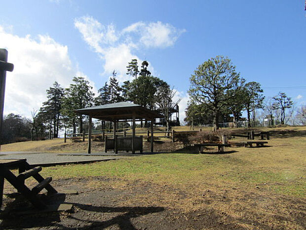 大坂台公園（約139m）