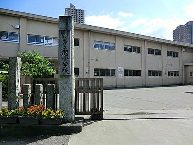 相模原市旭小学校（約427m）