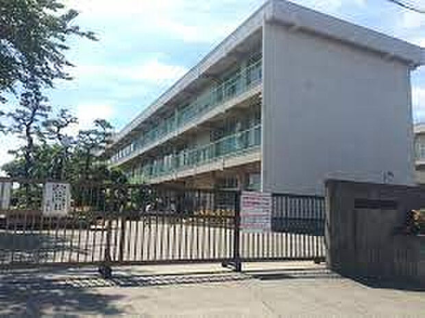 並木小学校（約886m）