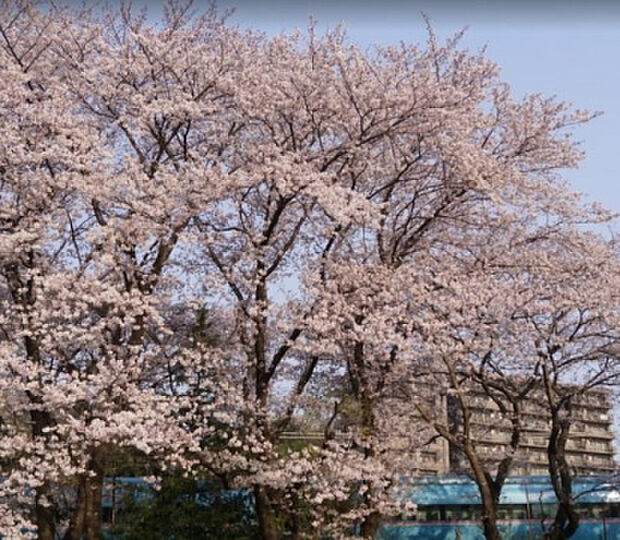 明王第２公園（約46m）