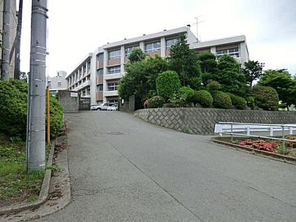 相模丘中学校 1539m(徒歩20分)