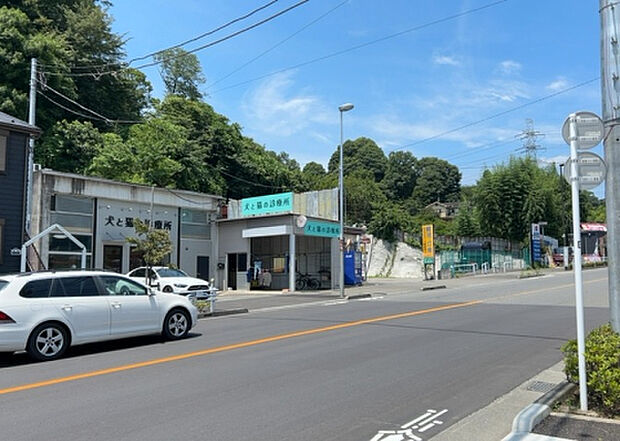 【物件からの展望_3】田園風景が味わえる土地に住みたい!海や山の見える自然豊かな土地に住みたい!などご要望に併せて当社営業がご提案させて頂きます。当社が抱えている数ある物件の中からお客様が納得する1件を一緒に探しましょう!