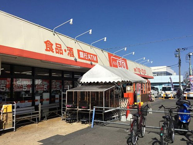 ザ・ビッグ相模原二本松店(約1,086m)