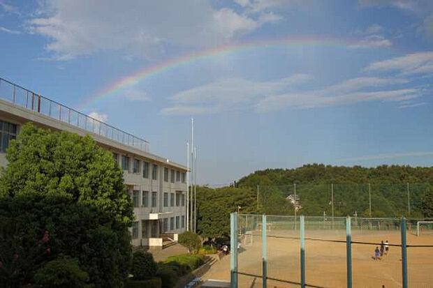 石川中学校(約1,155m)
