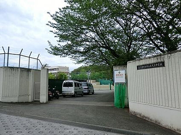 真光寺中学校(約1,182m)
