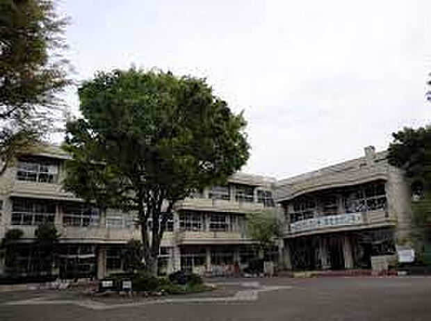 若松小学校(約416m)