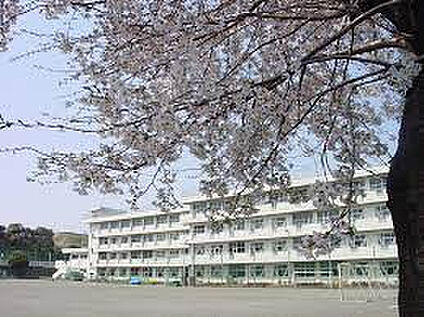 立野台小学校 741m(徒歩10分)