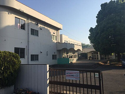 青葉小学校 571m(徒歩8分)