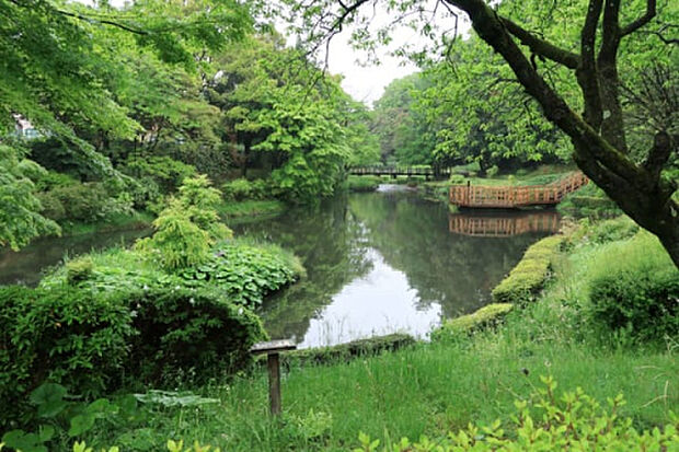 道保川公園(約1,074m)