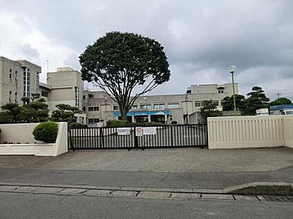 上溝南中学校 2394m(徒歩30分)