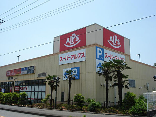 スーパーアルプス塩田店(約501m)