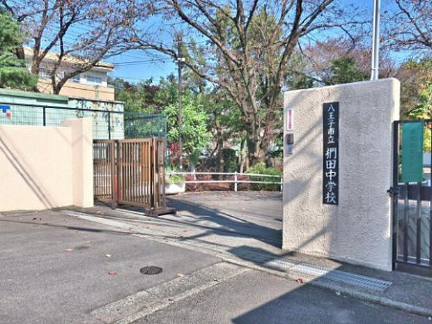 椚田中学校(約300m)