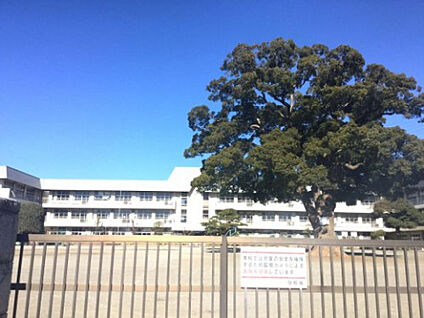 新磯小学校 1467m(徒歩19分)