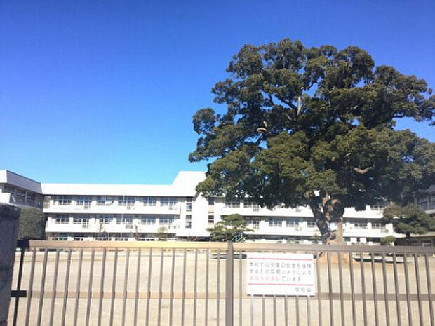 新磯小学校（約1,467m）