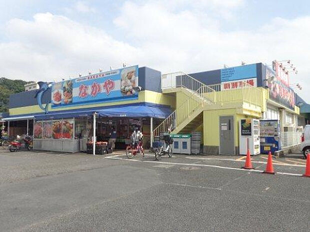 なかや入谷店(約1,138m)