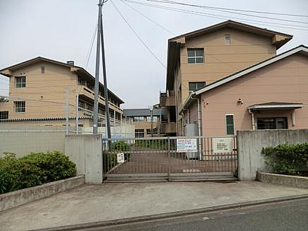 当麻田小学校(約216m)