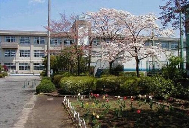 松枝小学校(約1,396m)