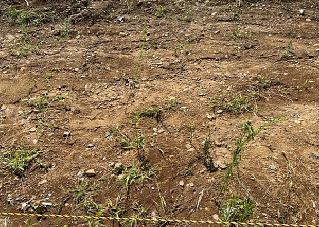 【その他設備】敷地内には、散水栓や立水栓があります。水道水を直接利用できるため、水を運ぶ手間を省くことが出来ます。大量の水を必要とする洗車作業や清掃などに役立ちます。その他設備とあわせて、現地でご確認ください。