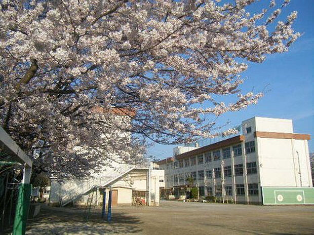 第二小学校(約479m)