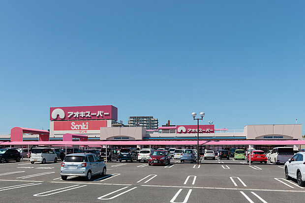 アオキスーパー（約960m）