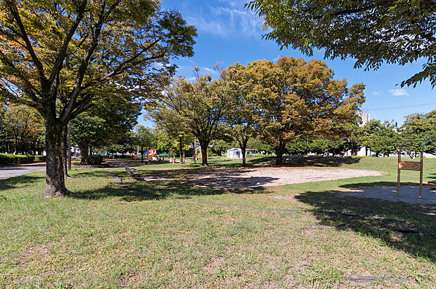 彦田公園(約50m)