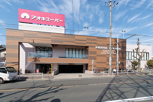 アオキスーパー（約80m）