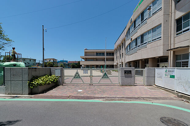 柳小学校（約800m）