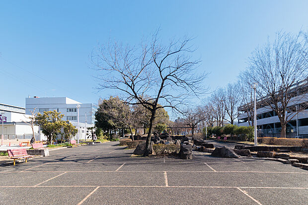 南郊公園(約400m)