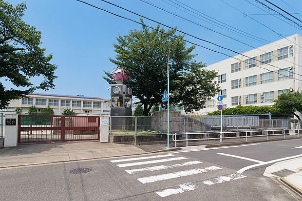 大磯小学校（約320m）