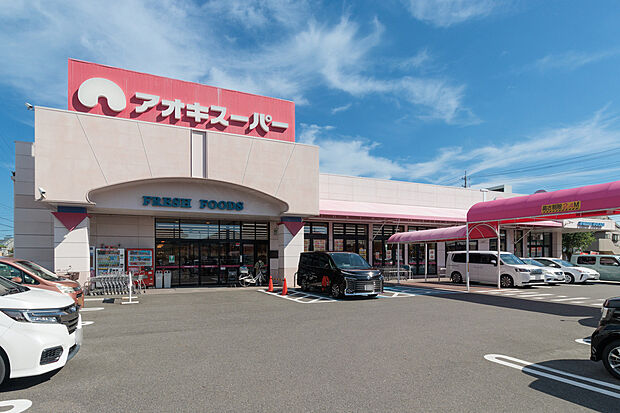アオキスーパー（約720m）