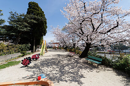 密柑山公園 80m(徒歩1分)