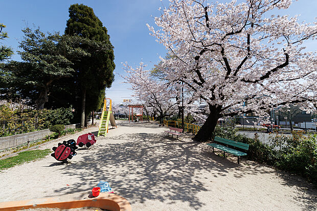 密柑山公園（約80m）