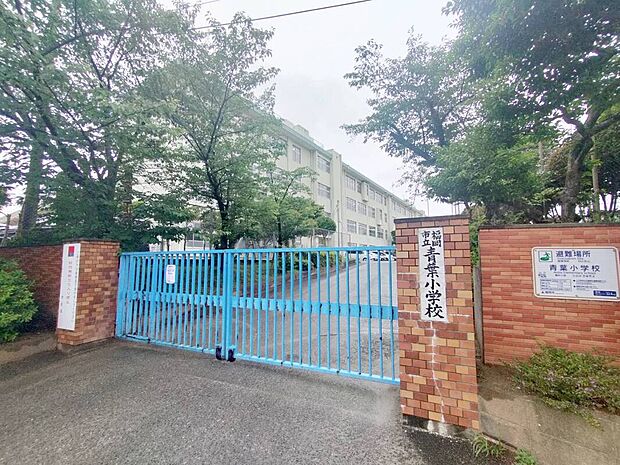 青葉小学校（約1,013m）